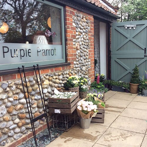 Purple Parrot store front